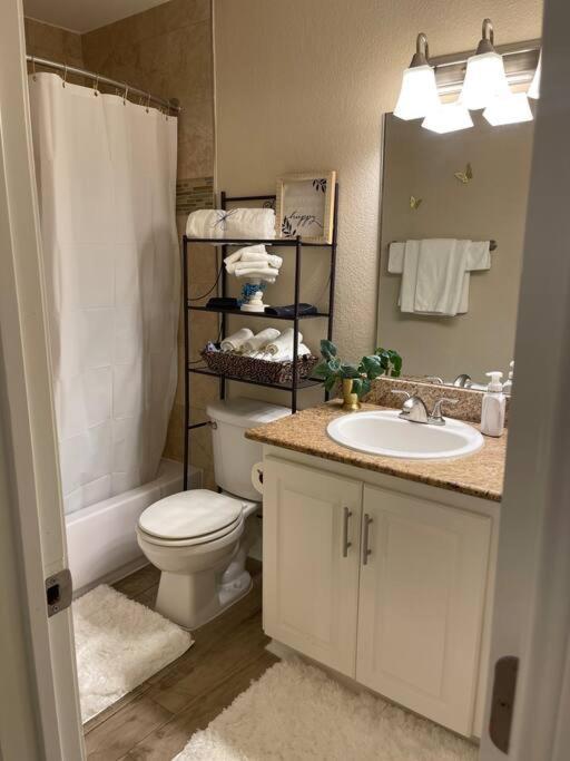 Beautiful/Spacious 2 Bedroom Houston Near Galleria Εξωτερικό φωτογραφία